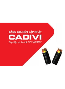 CVV _ Cadivi