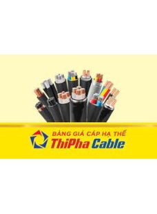 CVV_ Thịnh Phát